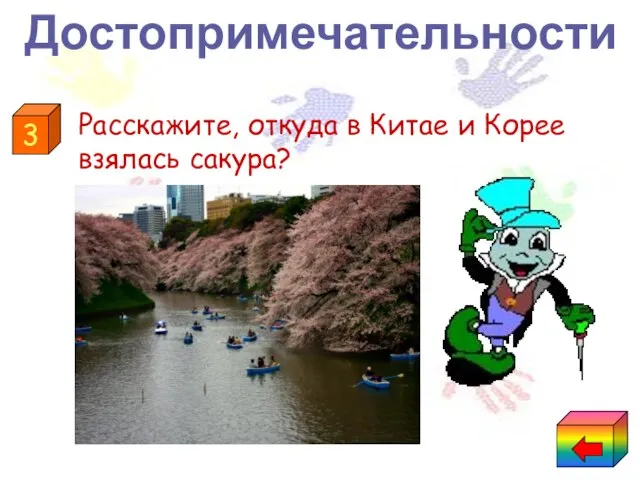 Расскажите, откуда в Китае и Корее взялась сакура? 3 Достопримечательности