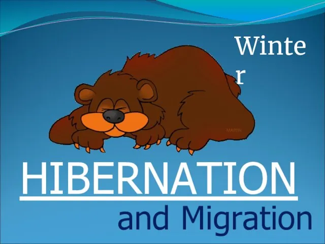 Winter HIBERNATION and Migration