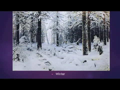 Winter