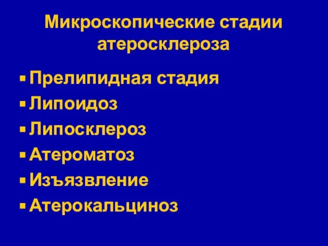 Микроскопические стадии атеросклероза Прелипидная стадия Липоидоз Липосклероз Атероматоз Изъязвление Атерокальциноз