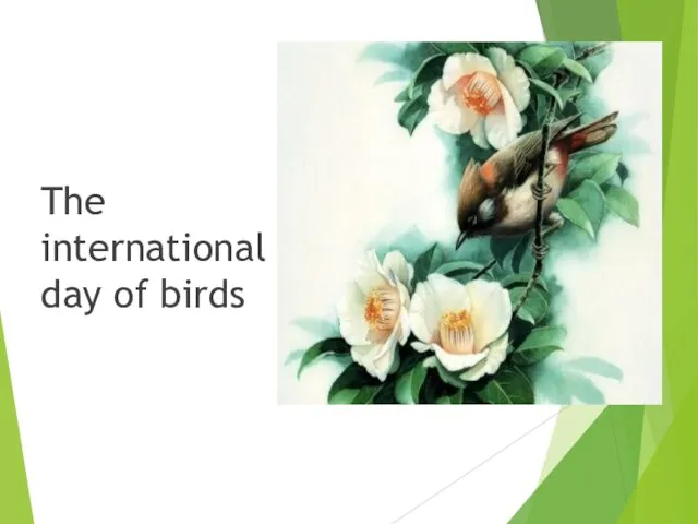 The international day of birds