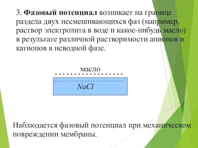 3. Фазовый потенциал возникает на границе раздела двух несмешивающихся фаз (например,