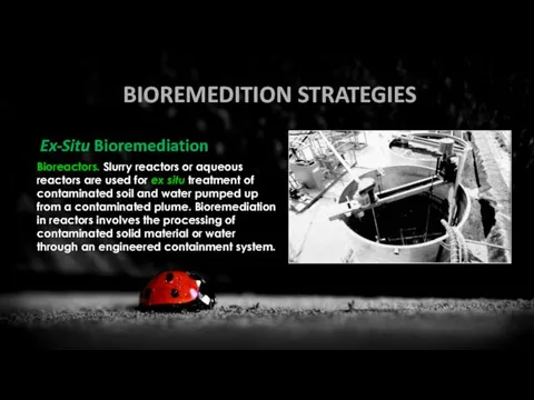 BIOREMEDITION STRATEGIES Ex-Situ Bioremediation Bioreactors. Slurry reactors or aqueous reactors are