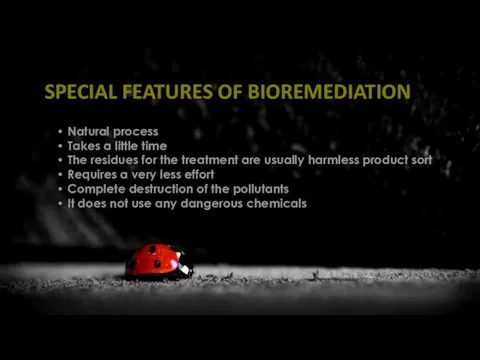 SPECIAL FEATURES OF BIOREMEDIATION Natural process Takes a little time The