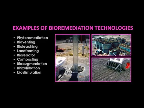 EXAMPLES OF BIOREMEDIATION TECHNOLOGIES Phytoremediation Bioventing Bioleaching Landfarming Bioreactor Composting Bioaugmentation Rhizofiltration biostimulation