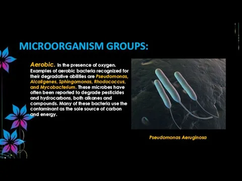 MICROORGANISM GROUPS: Aerobic. In the presence of oxygen. Examples of aerobic