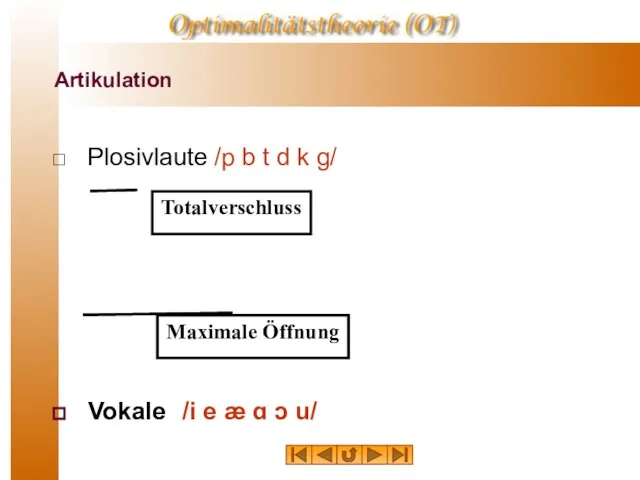 Artikulation Plosivlaute /p b t d k g/ Vokale /i e