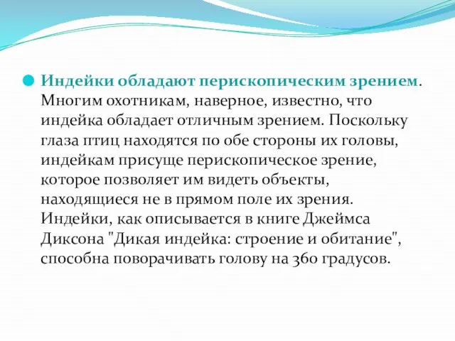 Индейки обладают перископическим зрением. Многим охотникам, наверное, известно, что индейка обладает