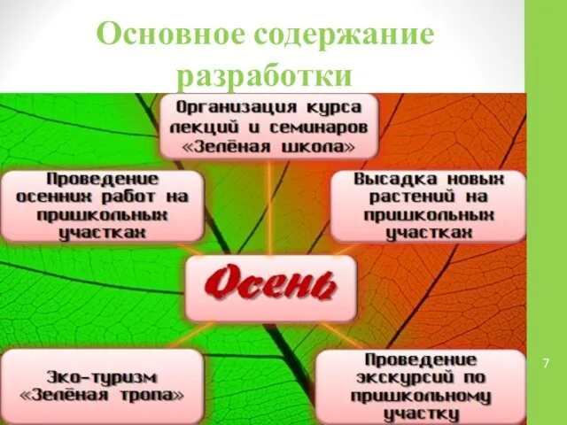 Основное содержание разработки