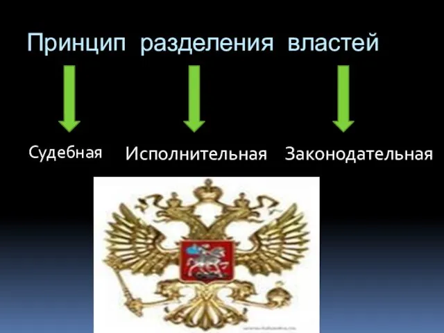 Принцип разделения властей Судебная Исполнительная Законодательная