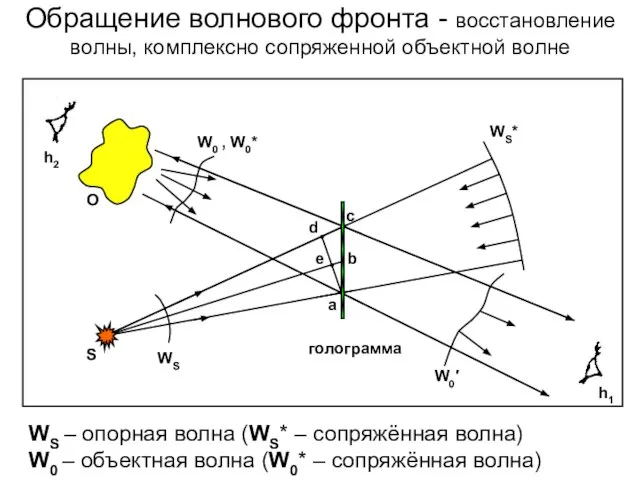 Обращение волнового фронта - восстановление волны, комплексно сопряженной объектной волне WS