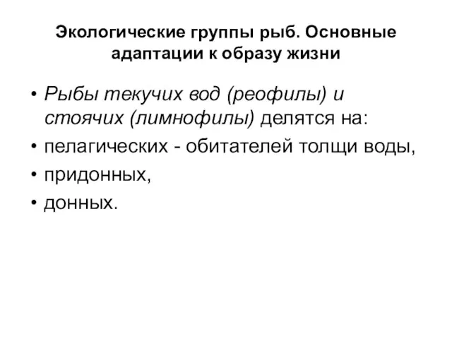 Экологические группы рыб. Основные адаптации к образу жизни Рыбы текучих вод