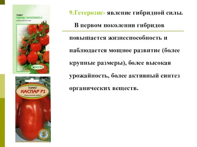 9.Гетерозис- явление гибридной силы. В первом поколении гибридов повышается жизнеспособность и