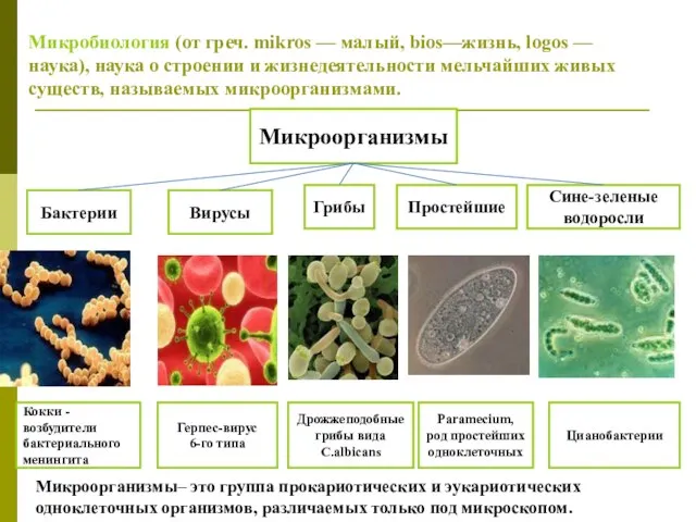 Микробиология (от греч. mikros — малый, bios—жизнь, logos — наука), наука