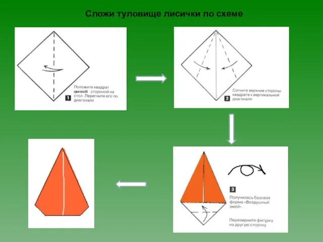 Сложи туловище лисички по схеме