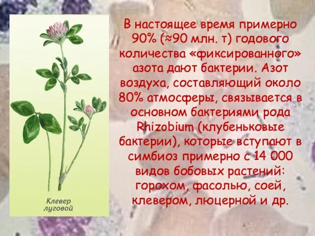 В настоящее время примерно 90% (≈90 млн. т) годового количества «фиксированного»