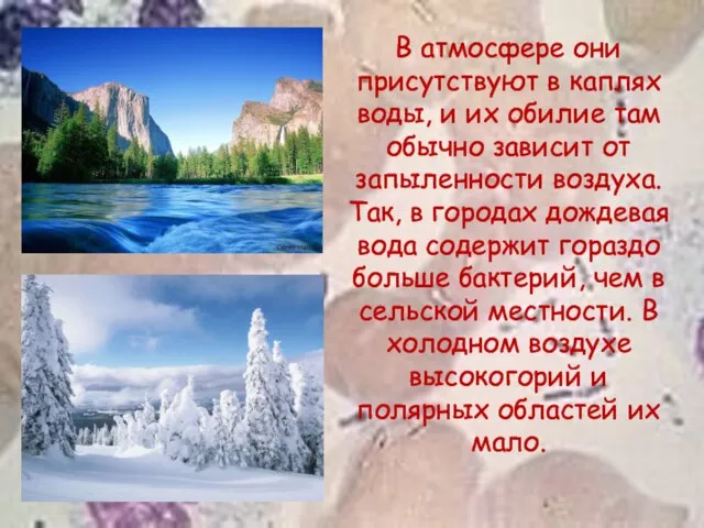 В атмосфере они присутствуют в каплях воды, и их обилие там