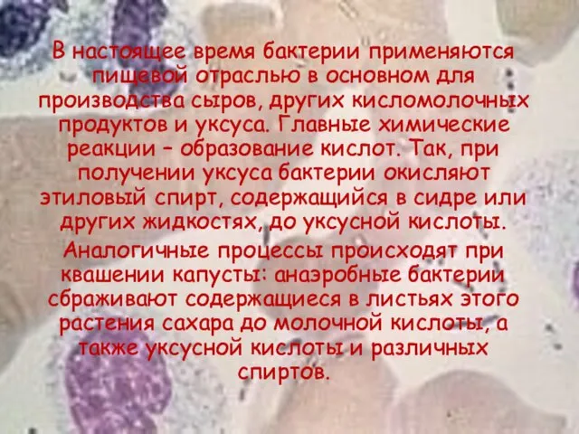 В настоящее время бактерии применяются пищевой отраслью в основном для производства