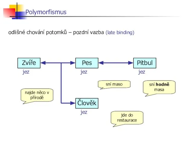 odlišné chování potomků – pozdní vazba (late binding) Polymorfismus jez jez jez jez