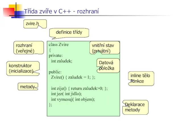 Třída zvíře v C++ - rozhraní vnitřní stav (privátní) rozhraní (veřejné)