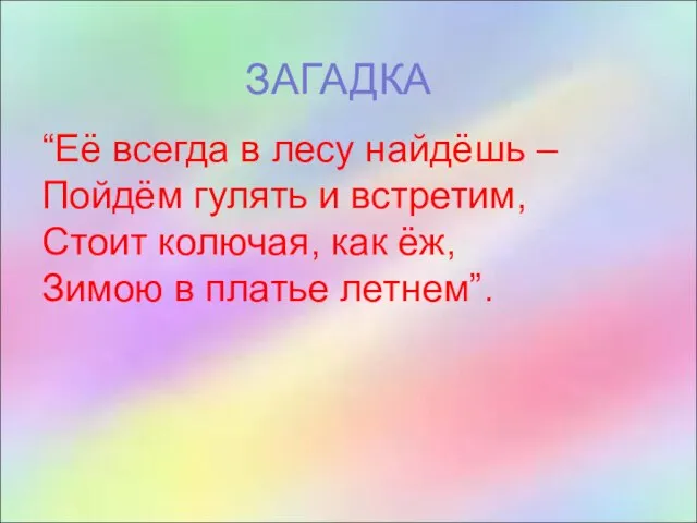 ЗАГАДКА “Её всегда в лесу найдёшь – Пойдём гулять и встретим,