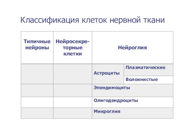 Классификация клеток нервной ткани