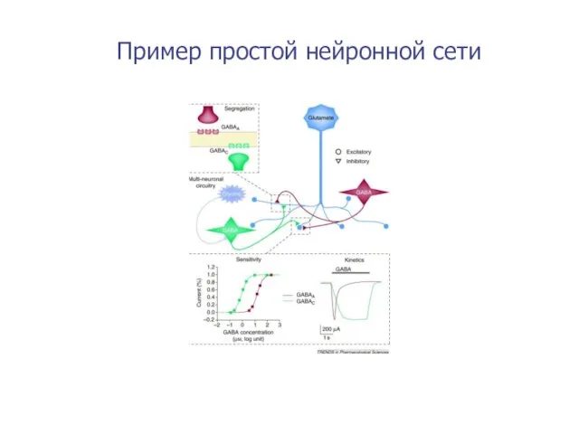 Пример простой нейронной сети