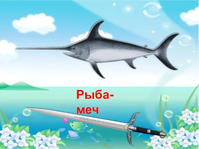Рыба-меч
