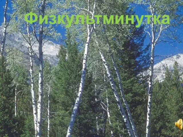 Физкультминутка