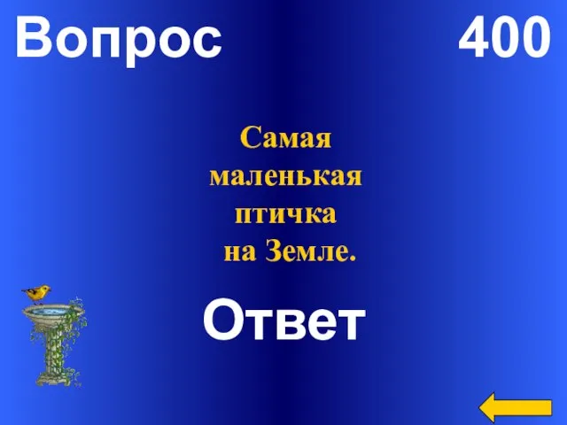 Вопрос 400 Ответ Самая маленькая птичка на Земле.