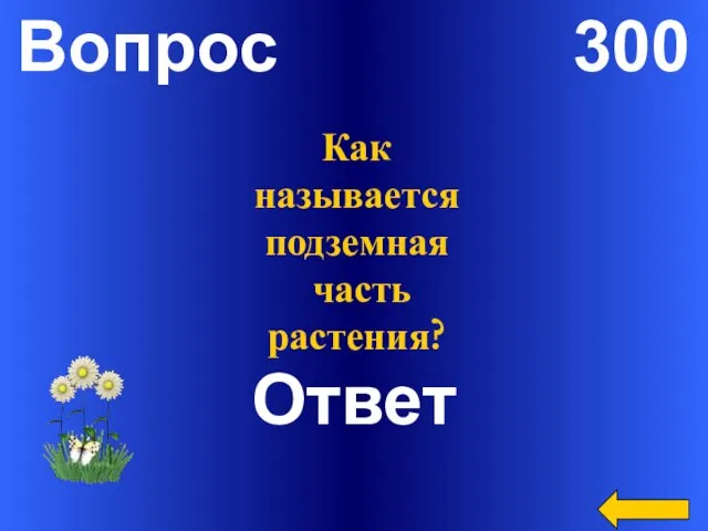 Вопрос 300 Ответ Как называется подземная часть растения?