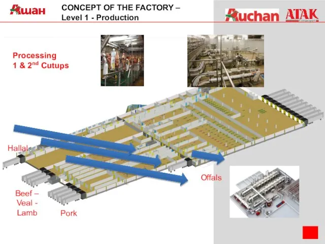 CONCEPT OF THE FACTORY – Level 1 - Production Hallal Pork