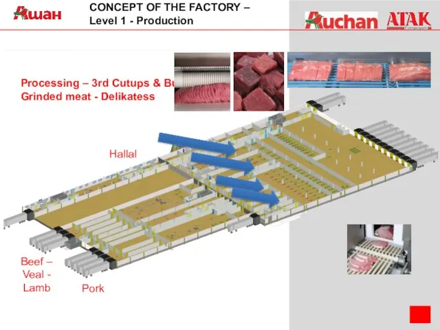 CONCEPT OF THE FACTORY – Level 1 - Production Hallal Pork