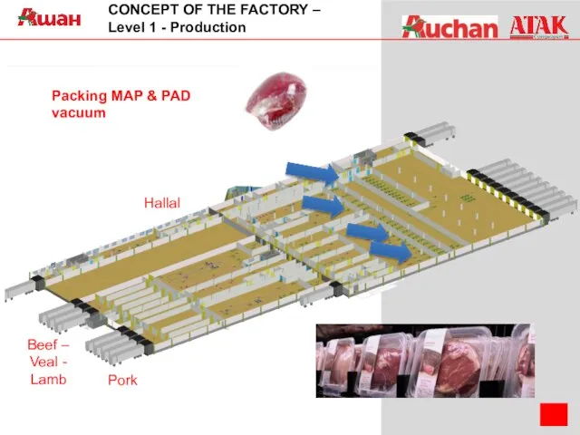 CONCEPT OF THE FACTORY – Level 1 - Production Hallal Pork