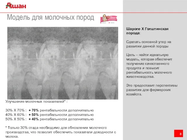 Модель для молочных пород Шароле Х Голштинская порода: Сделать основной упор