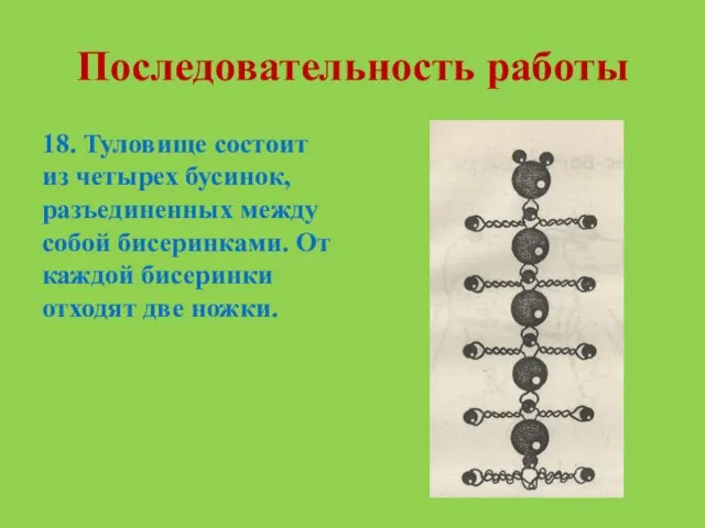 Последовательность работы 18. Туловище состоит из четырех бусинок, разъединенных между собой