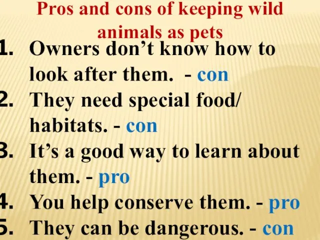 Pros and cons of keeping wild animals as pets Owners don’t