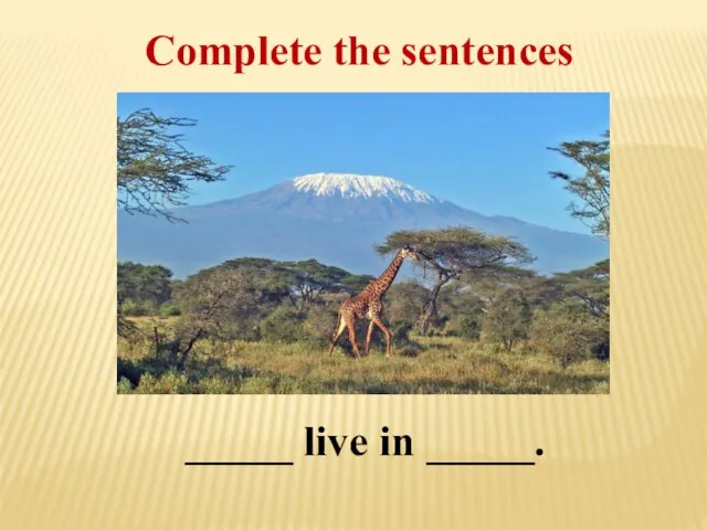 Complete the sentences _____ live in _____.