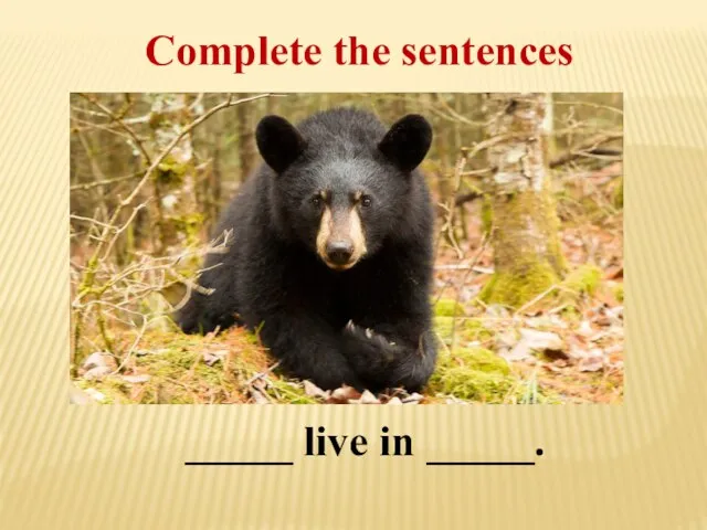 Complete the sentences _____ live in _____.