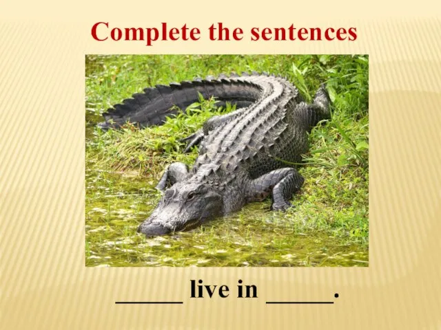 Complete the sentences _____ live in _____.