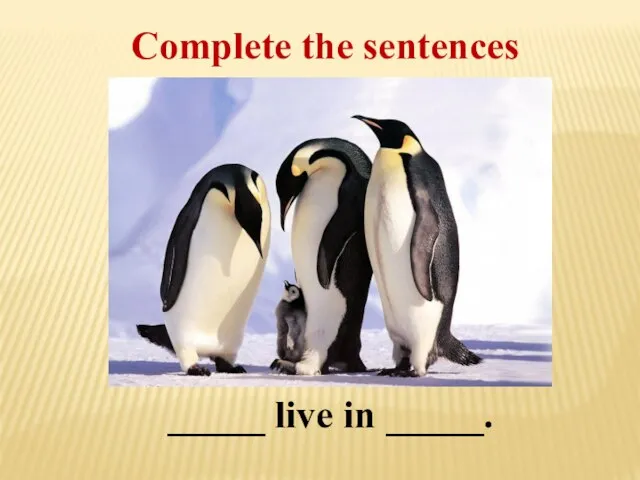 Complete the sentences _____ live in _____.