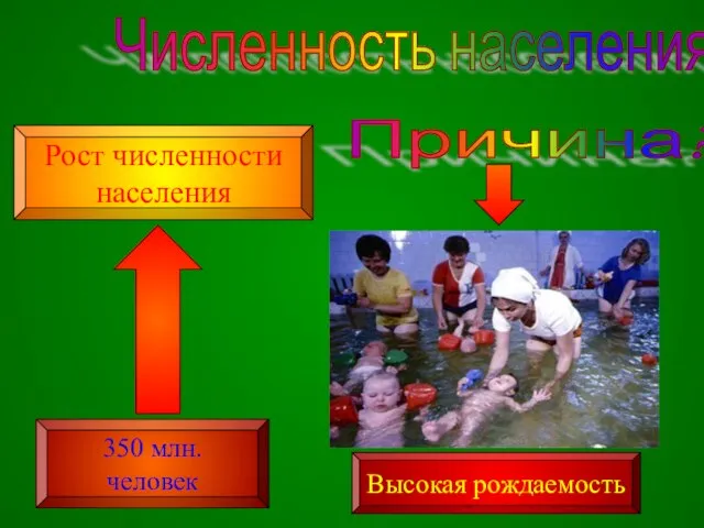 Численность населения 350 млн. человек Рост численности населения Причина? Высокая рождаемость