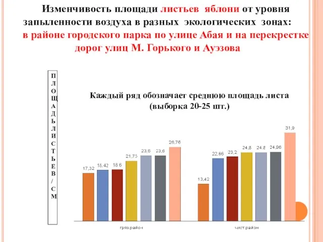 Изменчивость площади листьев яблони от уровня запыленности воздуха в разных экологических