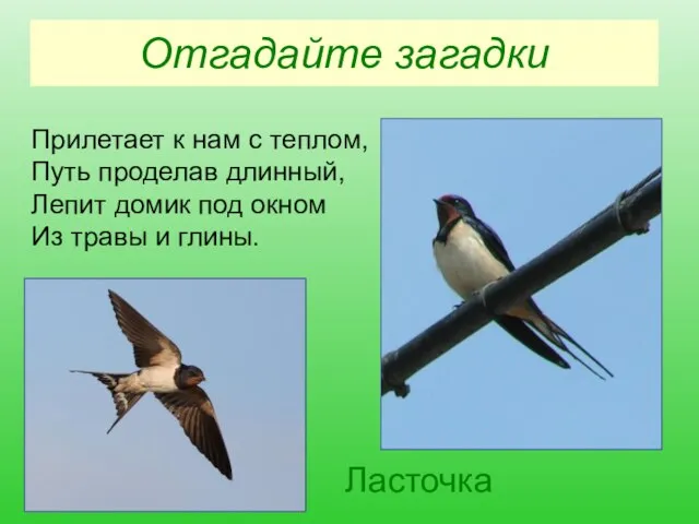 Отгадайте загадки Прилетает к нам с теплом, Путь проделав длинный, Лепит