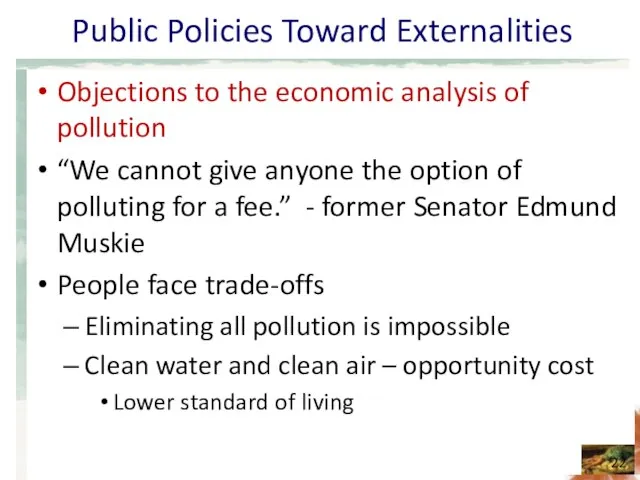 Public Policies Toward Externalities Objections to the economic analysis of pollution