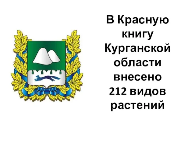 В Красную книгу Курганской области внесено 212 видов растений