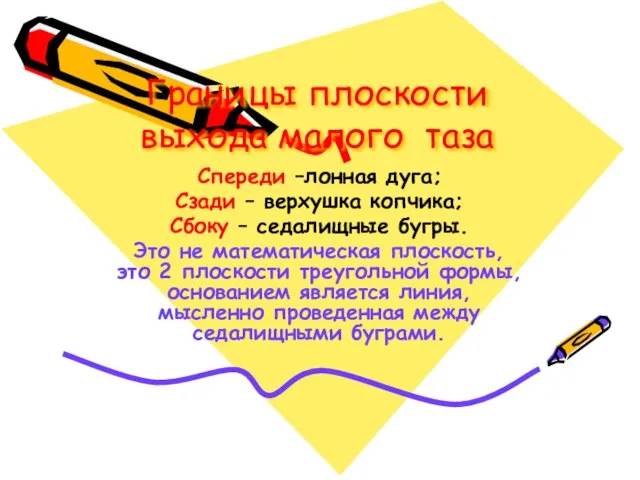 Границы плоскости выхода малого таза Спереди –лонная дуга; Сзади – верхушка