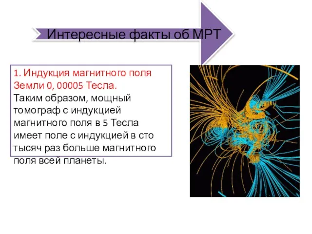 Интересные факты об МРТ 1. Индукция магнитного поля Земли 0, 00005