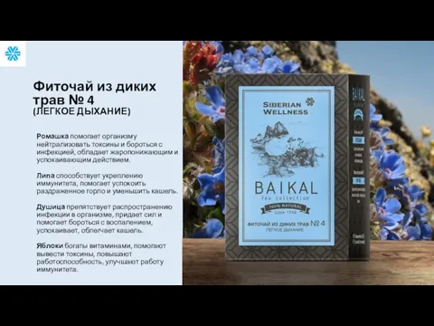 Ромашка помогает организму нейтрализовать токсины и бороться с инфекцией, обладает жаропонижающим