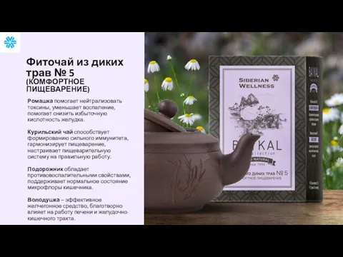 Ромашка помогает нейтрализовать токсины, уменьшает воспаление, помогает снизить избыточную кислотность желудка.